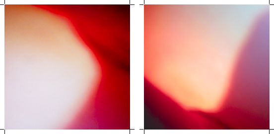 jacques perconte 38degres