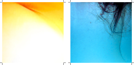 jacques perconte 38 degres